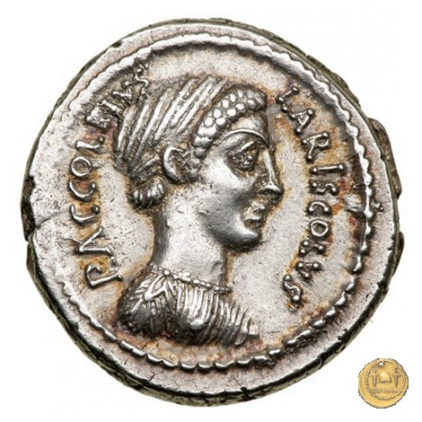 486/1 - denario P. Accoleius Lariscolus 43 BC (Roma)