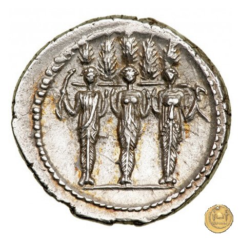 486/1 - denario P. Accoleius Lariscolus 43 BC (Roma)