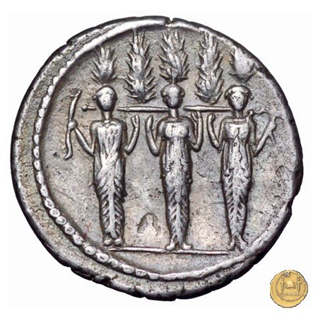 486/1 - denario P. Accoleius Lariscolus 43 BC (Roma)