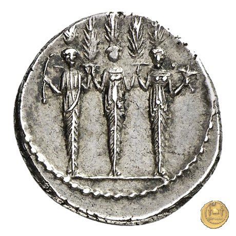 486/1 - denario P. Accoleius Lariscolus 43 BC (Roma)