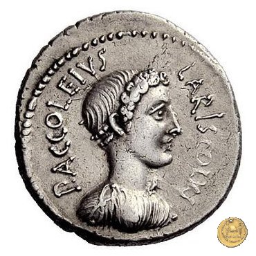 486/1 - denario P. Accoleius Lariscolus 43 BC (Roma)