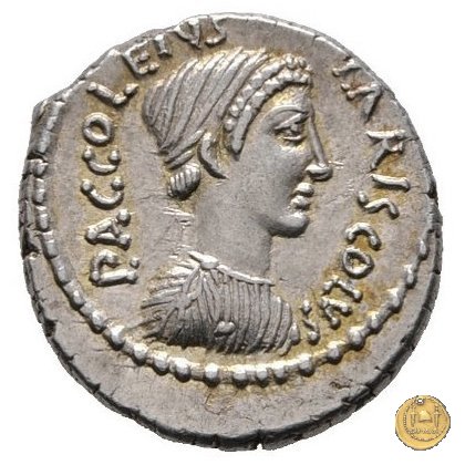 486/1 - denario P. Accoleius Lariscolus 43 BC (Roma)