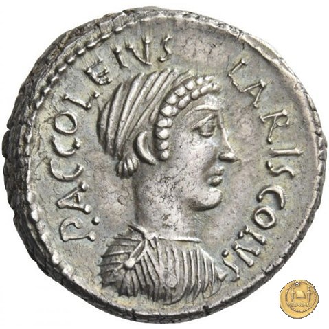 486/1 - denario P. Accoleius Lariscolus 43 BC (Roma)