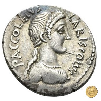 486/1 - denario P. Accoleius Lariscolus 43 BC (Roma)