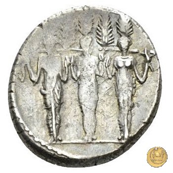 486/1 - denario P. Accoleius Lariscolus 43 BC (Roma)