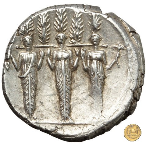 486/1 - denario P. Accoleius Lariscolus 43 BC (Roma)