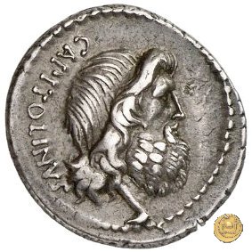 487/1 - denario Petillius Capitolinus 43 BC (Roma)