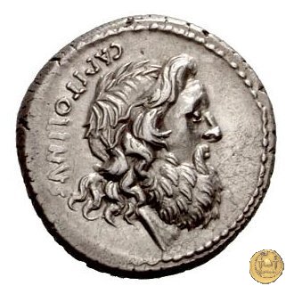 487/1 - denario Petillius Capitolinus 43 BC (Roma)