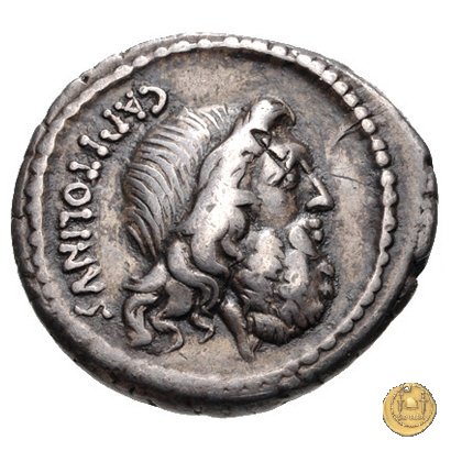 487/1 - denario Petillius Capitolinus 43 BC (Roma)