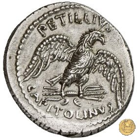 487/2 - denario Petillius Capitolinus 43 BC (Roma)