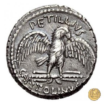 487/2 - denario Petillius Capitolinus 43 BC (Roma)