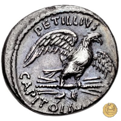 487/2 - denario Petillius Capitolinus 43 BC (Roma)