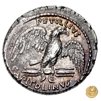 487/2 - denario Petillius Capitolinus 43 BC (Roma)