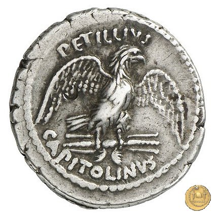 487/2 - denario Petillius Capitolinus 43 BC (Roma)