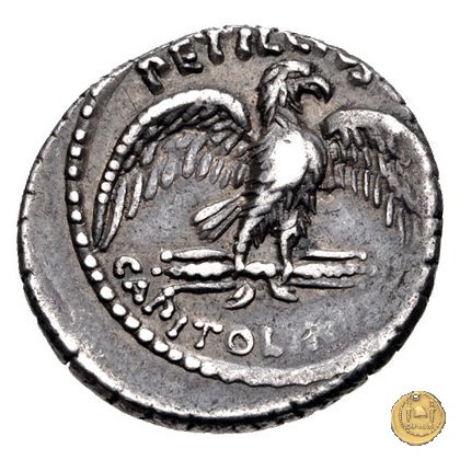 487/2 - denario Petillius Capitolinus 43 BC (Roma)