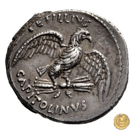 487/2 - denario Petillius Capitolinus 43 BC (Roma)