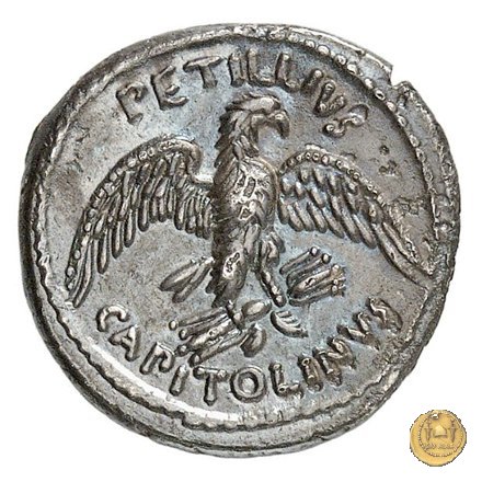 487/2 - denario Petillius Capitolinus 43 BC (Roma)