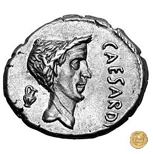 488/1 - denario M. Antonius 43 BC (Gallia Trans- Cisalpina)