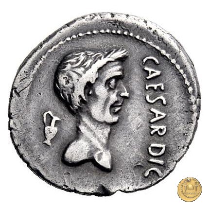 488/1 - denario M. Antonius 43 BC (Gallia Trans- Cisalpina)