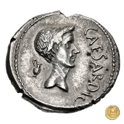 488/1 - denario M. Antonius 43 BC (Gallia Trans- Cisalpina)