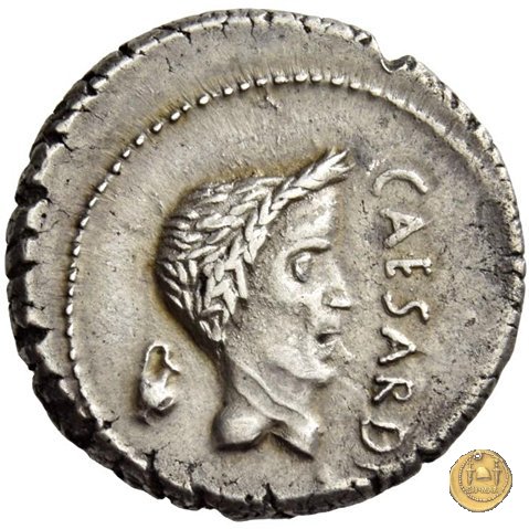 488/1 - denario M. Antonius 43 BC (Gallia Trans- Cisalpina)