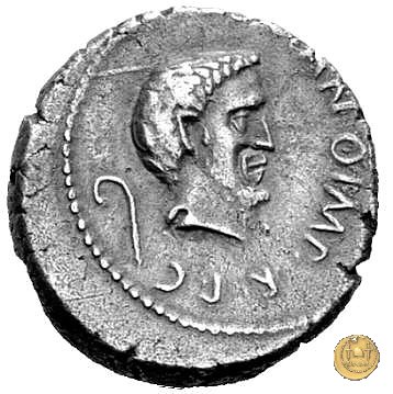 488/2 - denario M. Antonius 43 BC (Gallia Trans- Cisalpina)