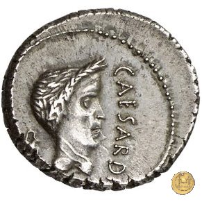 488/2 - denario M. Antonius 43 BC (Gallia Trans- Cisalpina)