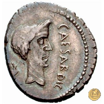 488/2 - denario M. Antonius 43 BC (Gallia Trans- Cisalpina)