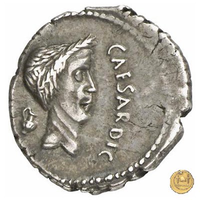 488/2 - denario M. Antonius 43 BC (Gallia Trans- Cisalpina)