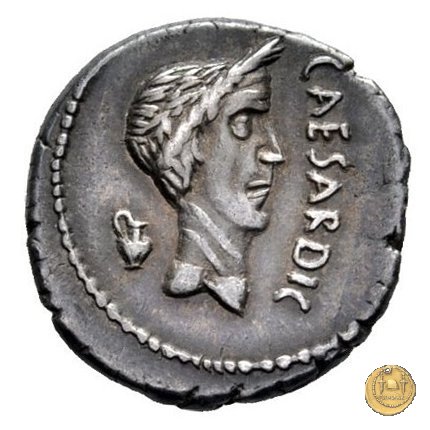 488/2 - denario M. Antonius 43 BC (Gallia Trans- Cisalpina)