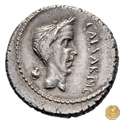 488/2 - denario M. Antonius 43 BC (Gallia Trans- Cisalpina)