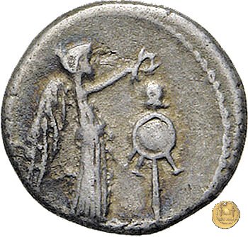 489/4 - quinario M. Antonius 43-42 BC (Gallia Trans- Cisalpina)