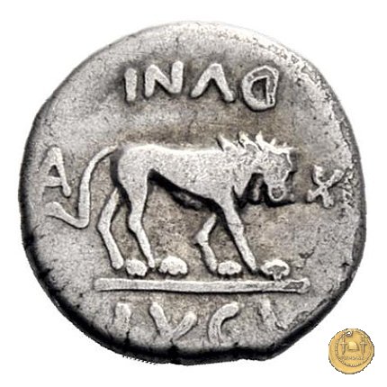 489/5 - quinario M. Antonius 43-42 BC (Gallia Trans- Cisalpina)