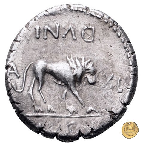 489/5 - quinario M. Antonius 43-42 BC (Gallia Trans- Cisalpina)