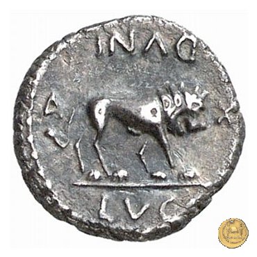 489/5 - quinario M. Antonius 43-42 BC (Gallia Trans- Cisalpina)