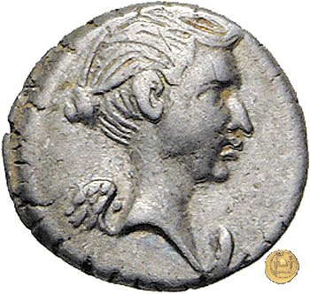 489/5 - quinario M. Antonius 43-42 BC (Gallia Trans- Cisalpina)