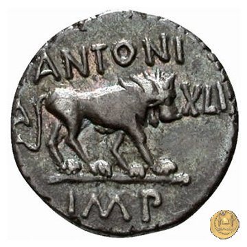 489/6 - quinario M. Antonius 43-42 BC (Gallia Trans- Cisalpina)