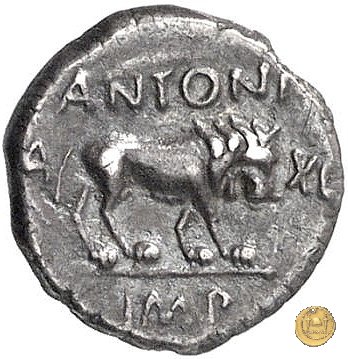 489/6 - quinario M. Antonius 43-42 BC (Gallia Trans- Cisalpina)