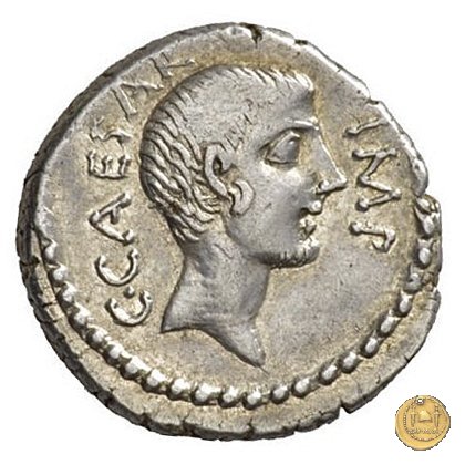 490/1 - denario C. Iulius Caesar Octavianus 43 BC (Gallia Cisalpina e Italia)