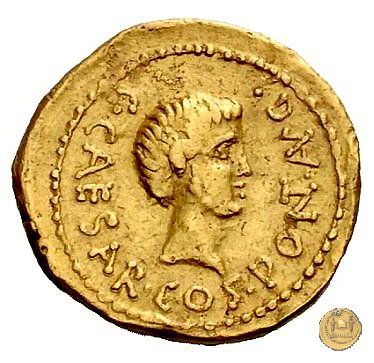 490/2 - aureo C. Iulius Caesar Octavianus 43 BC (Gallia Cisalpina e Italia)