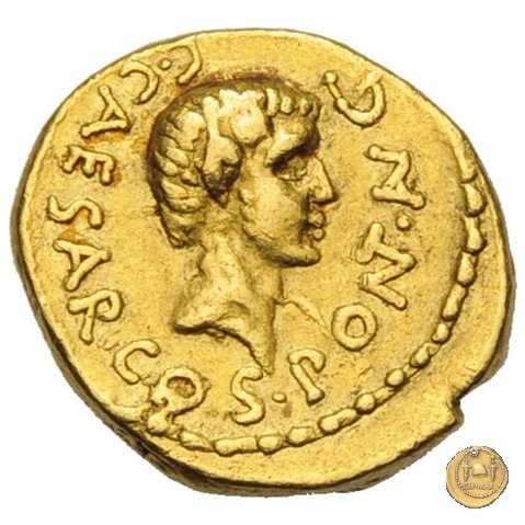 490/2 - aureo C. Iulius Caesar Octavianus 43 BC (Gallia Cisalpina e Italia)