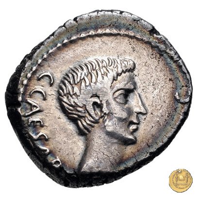 490/3 - denario C. Iulius Caesar Octavianus 43 BC (Gallia Cisalpina e Italia)