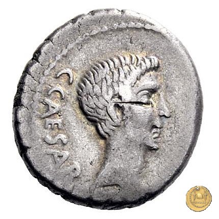 490/3 - denario C. Iulius Caesar Octavianus 43 BC (Gallia Cisalpina e Italia)