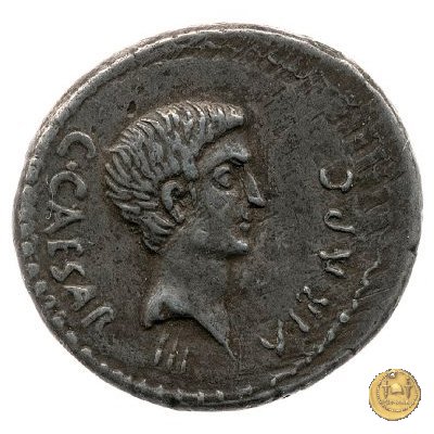 490/3 - denario C. Iulius Caesar Octavianus 43 BC (Gallia Cisalpina e Italia)