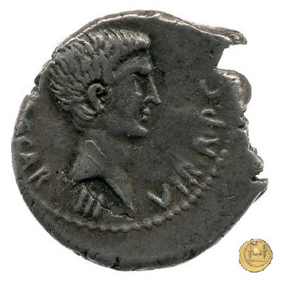 490/4 - denario C. Iulius Caesar Octavianus 43 BC (Gallia Cisalpina e Italia)