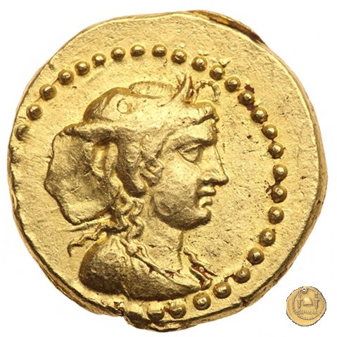 491/1b - aureo L. Cestius / C. Norbanus 43 BC (Roma)