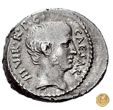 494/19 - denario C. Iulius Caesar Octavianus / P. Clodius M.f. 42 BC (Roma)