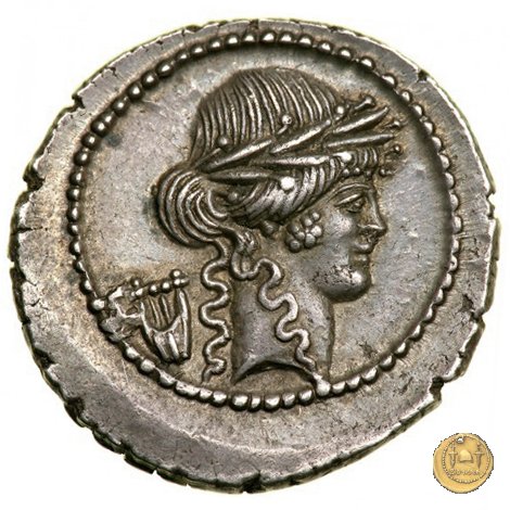 494/23 - denario P. Clodius M.f. 42 BC (Roma)