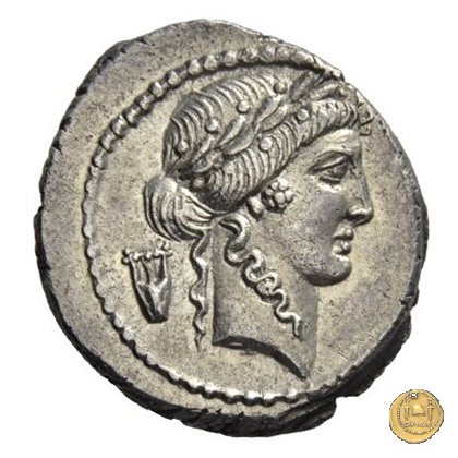 494/23 - denario P. Clodius M.f. 42 a.C. (Roma)