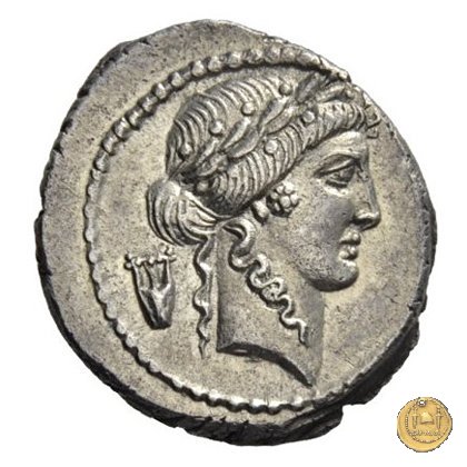 494/23 - denario P. Clodius M.f. 42 BC (Roma)